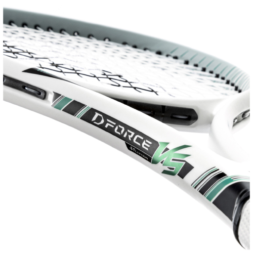 ウインザーオンラインショップ【張り工賃別】ミズノ ディーフォース VS