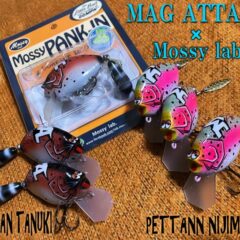 今月のZEALは、人気のピンクのパンダ（ウッド製） | JUNKFOOD ジャンク