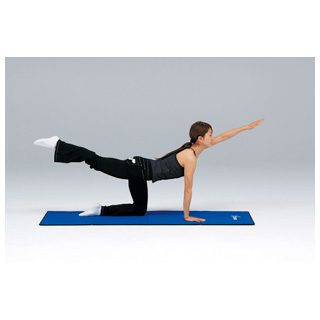 H-7177 エクササイズマット4折 | トーエイライト株式会社 TOEI LIGHT