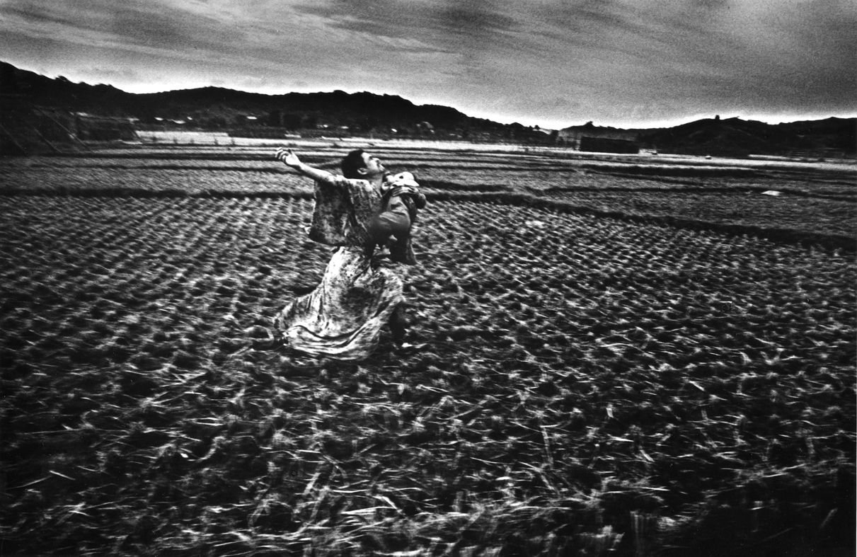 細江英公「薔薇刑#32」「鎌鼬＃37」 | ブログ | ときの忘れもの