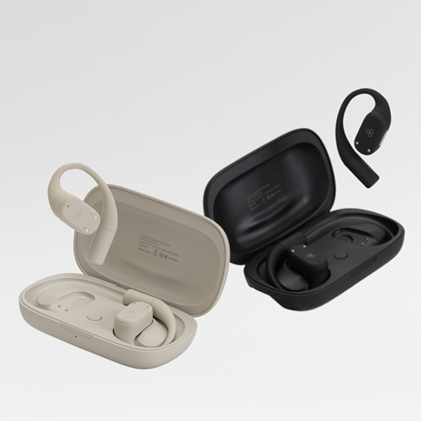 クセが強すぎる。final ZE500 for ASMRとKDT3000はASMRか快適性に