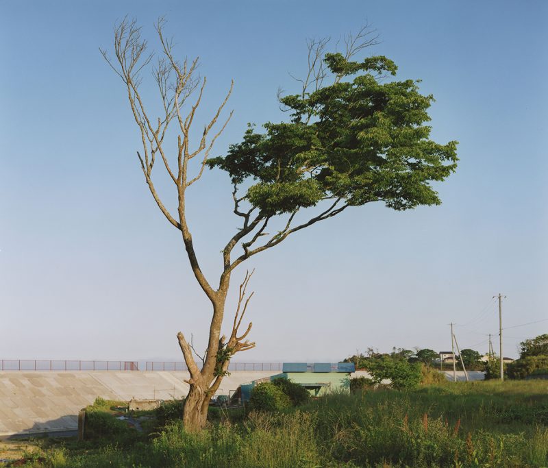 畠山 直哉 | タカ・イシイギャラリー / Taka Ishii Gallery