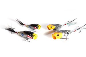MEGABASS＞限定販売品情報 | 名古屋フィッシングルアーフェスティバル
