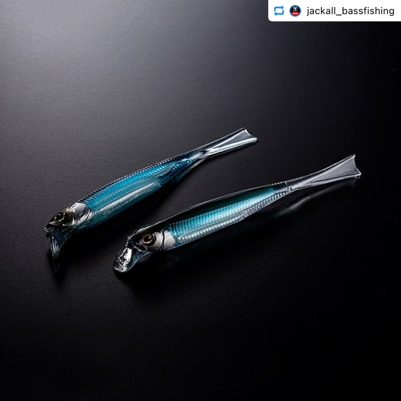 JACKALL』限定販売品情報 | 名古屋フィッシングルアーフェスティバル