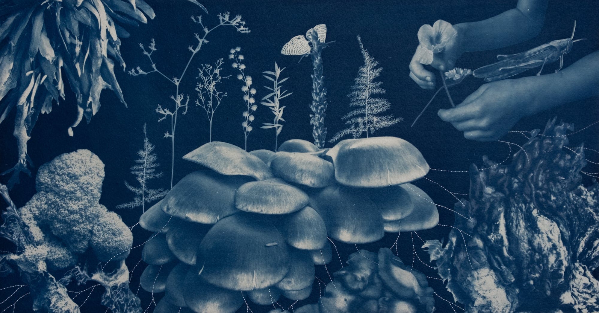 Watercolor Accentuates the Surreal and Metaphorical Nature of