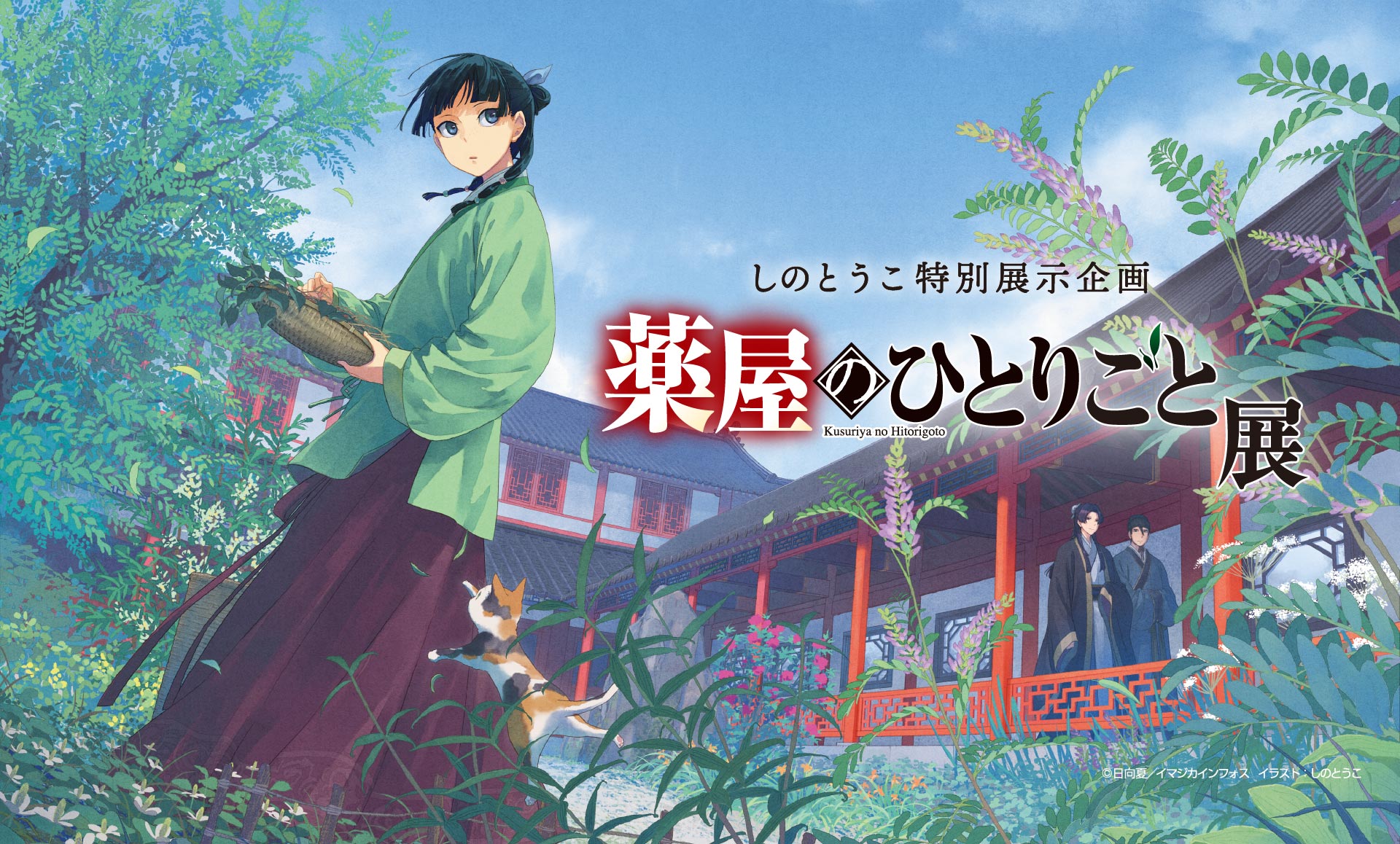 しのとうこ特別展示企画 薬屋のひとりごと展