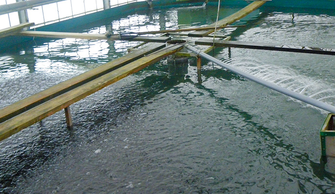 樹脂製 水中ノンクロッグポンプ 50PN2.15SL型｜鶴見製作所-ツルミポンプ