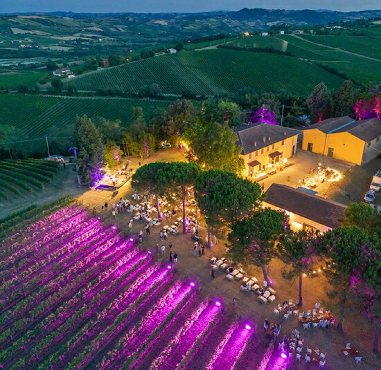 トスカニー イタリアワイン専門店 / サンジョヴェーゼ アパッシメント