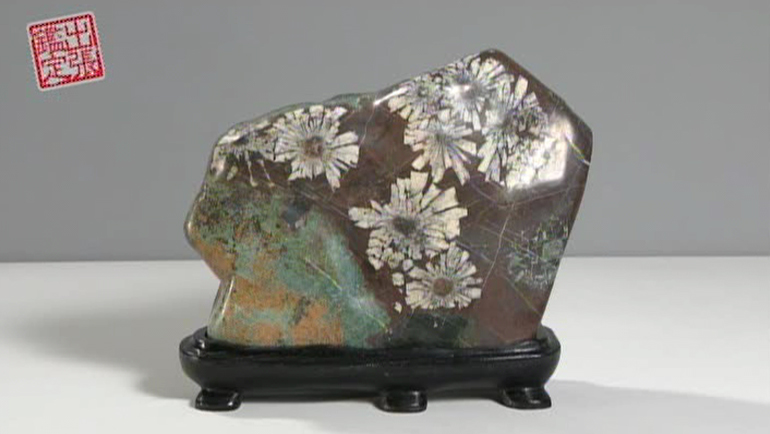 菊花石（岐阜県・根尾谷）｜開運！なんでも鑑定団｜テレビ東京