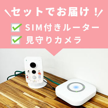 手遅れになる前に】家族を守るための実家防犯対策！一人暮らしの親が