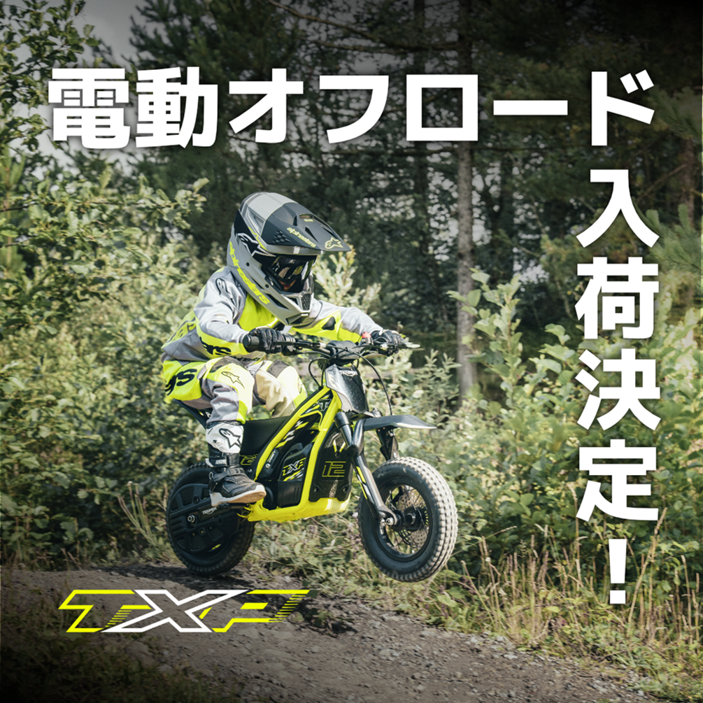 AXMAN TYRAN 60V ロードバイク AXMAN TYRAN 60V ロードバイク