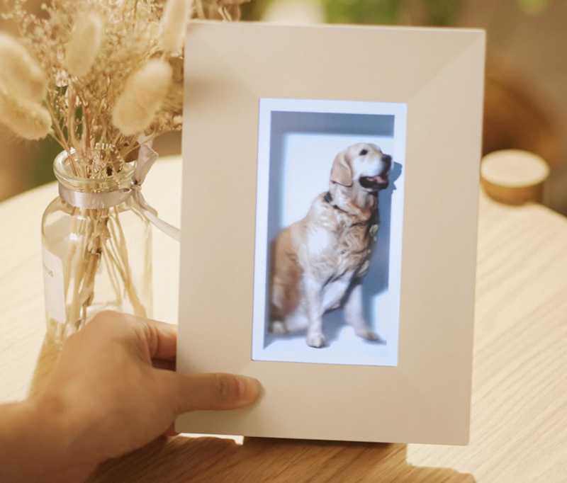 Looking Glass (Go/16/27) | 3D表示 光線再生型ディスプレイ (4k/5k/8k