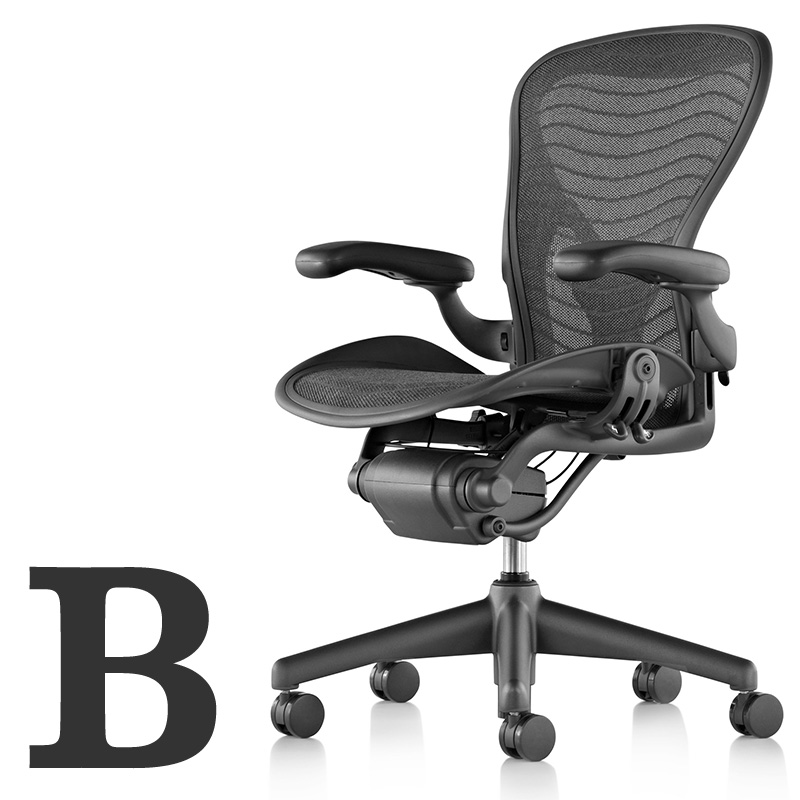 アーロンチェア グラファイトカラー ポスチャーフィット