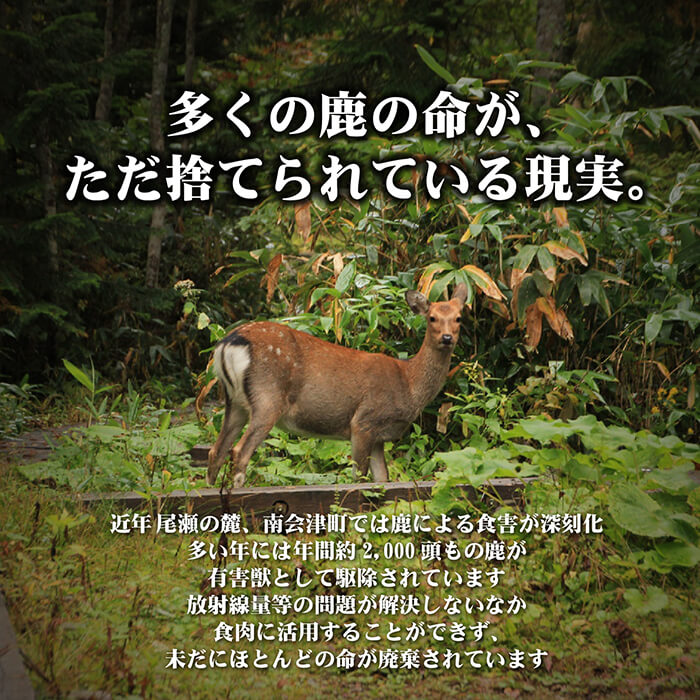 尾瀬で駆除される鹿の問題を解決するため「おぜしかプロジェクト」と村