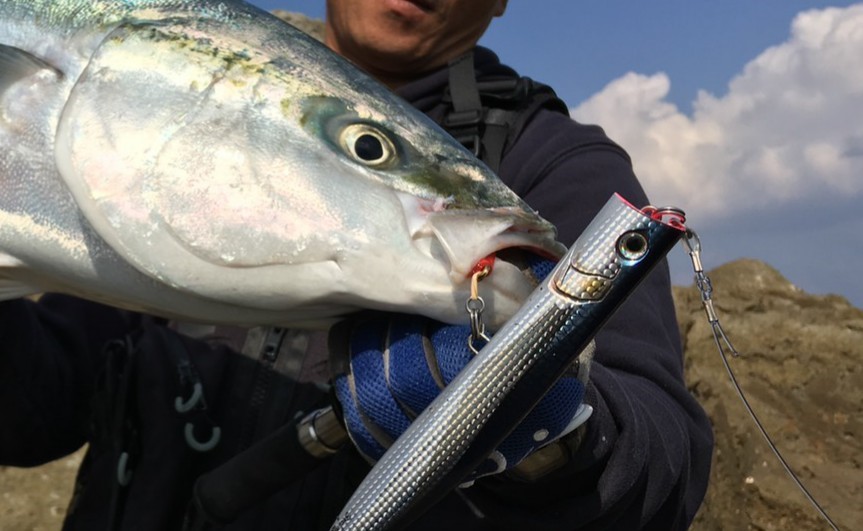 2020年3月リリース/ダックダイブF190】 by岡 公一郎 - マリア