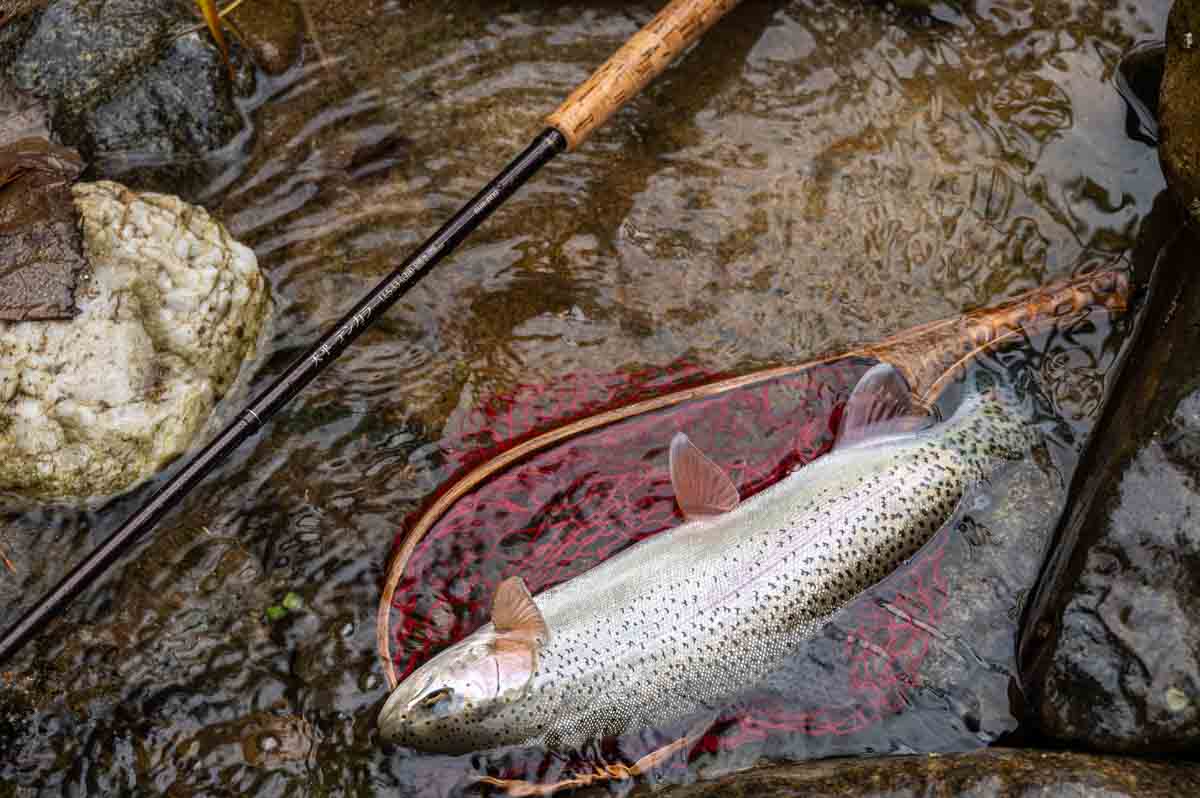 シマノ 天平テンカラNB LLS33レビュー！ちょっと良いテンカラ竿を買う