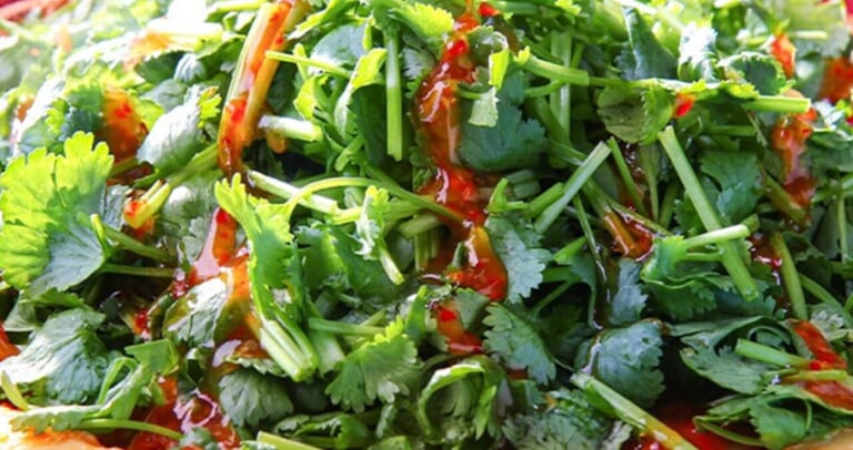 草超えて森、抜けたら沼だった」全パクチストに送る伝説の1枚が最新