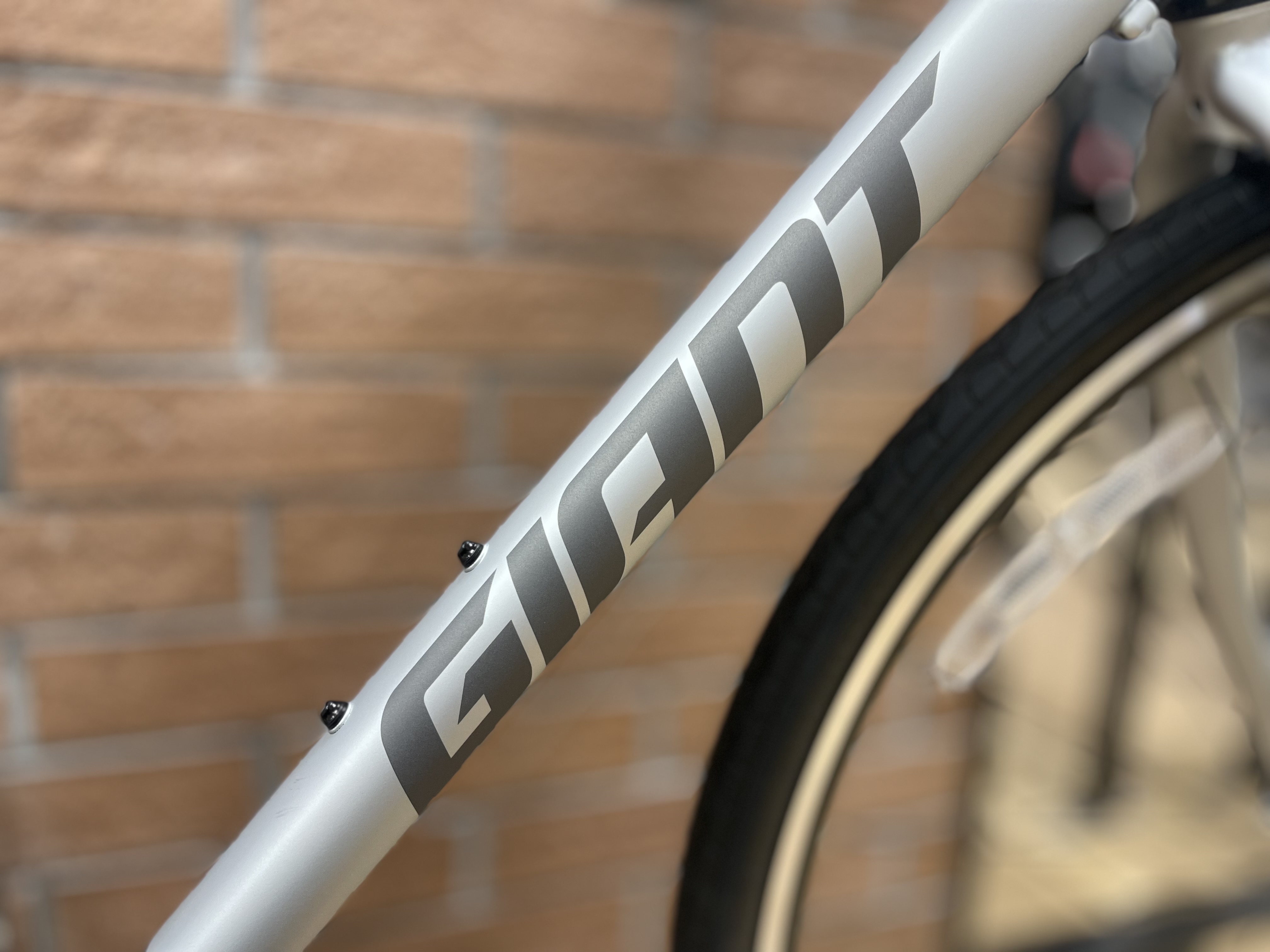 国内限定3,500台！大人気のESCAPE R3のSPECIAL EDITIONが入荷しました