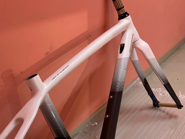 ANCHOR】小柄な方必見‼︎アンカーのカーボンフレームが超特価です