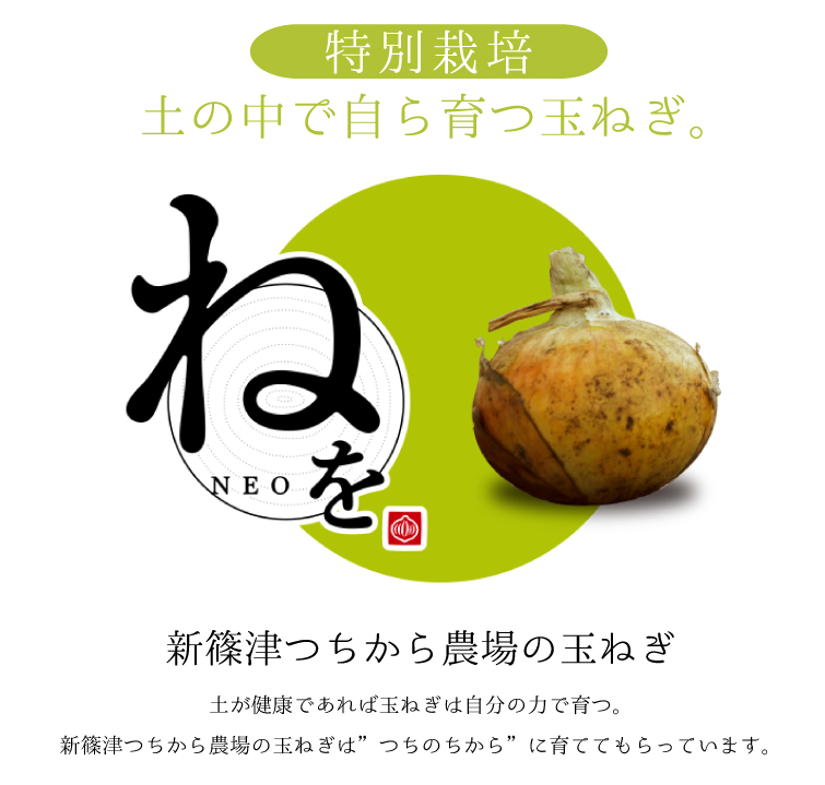 たまねぎ 5kg | ゆめぴりか専門店 『米のさくら屋』