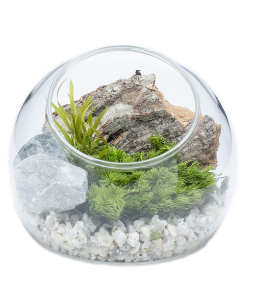 MILLION CARATS（ミリオンカラッツ） インテリア 暮らしに森の癒しを