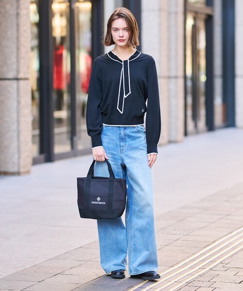 DRESSTERIOR（ドレステリア） ニット セーター 「洗える」配色ライン