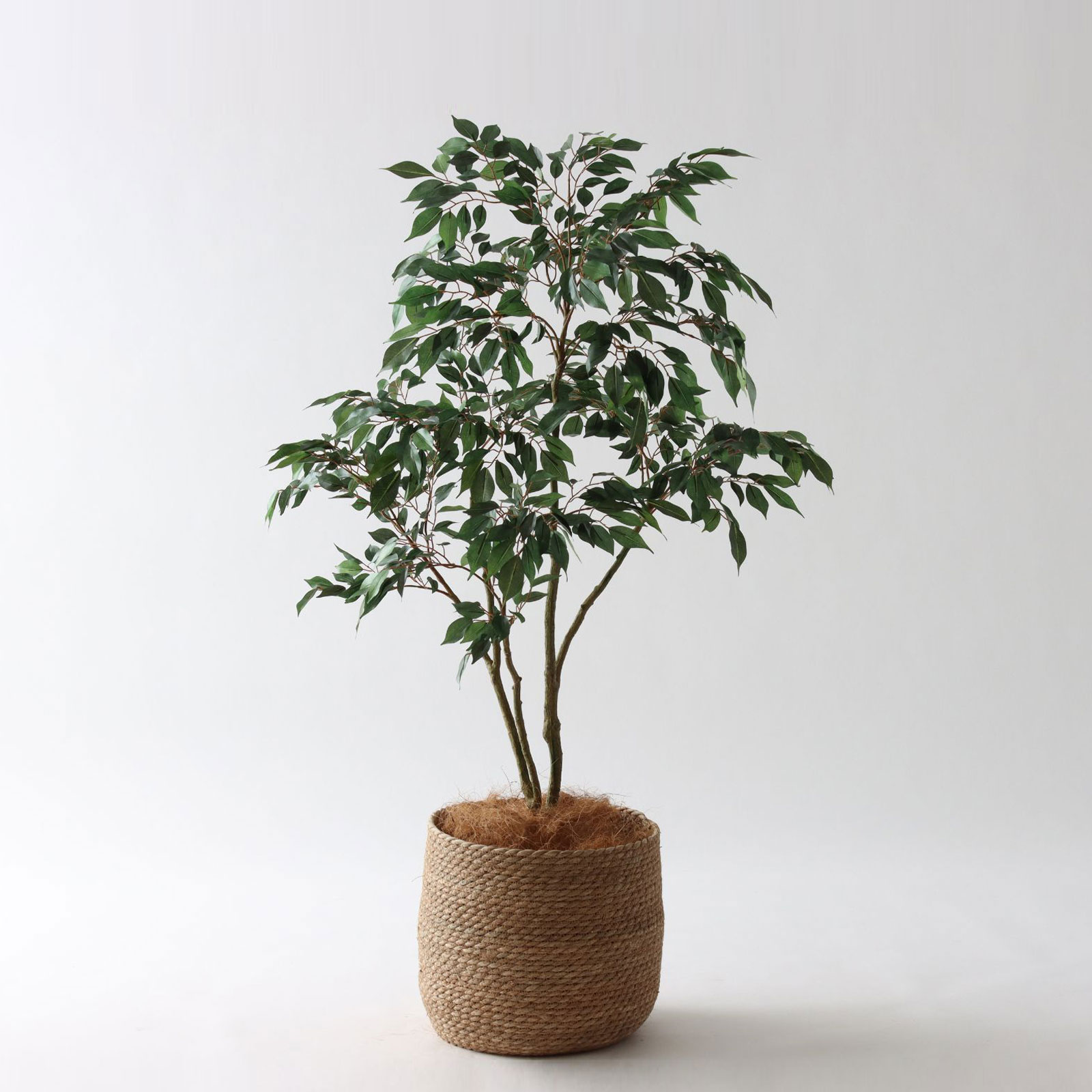 コーヒーの木 | プレミアム光触媒フェイクグリーン 造花ドットコム