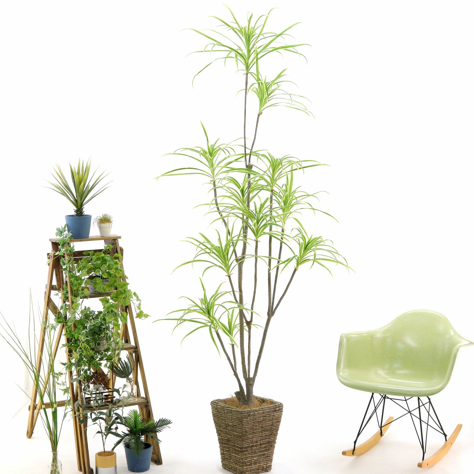 No9377 プレミアム光触媒フェイクグリーン 「ダイナミックに広がる11枝