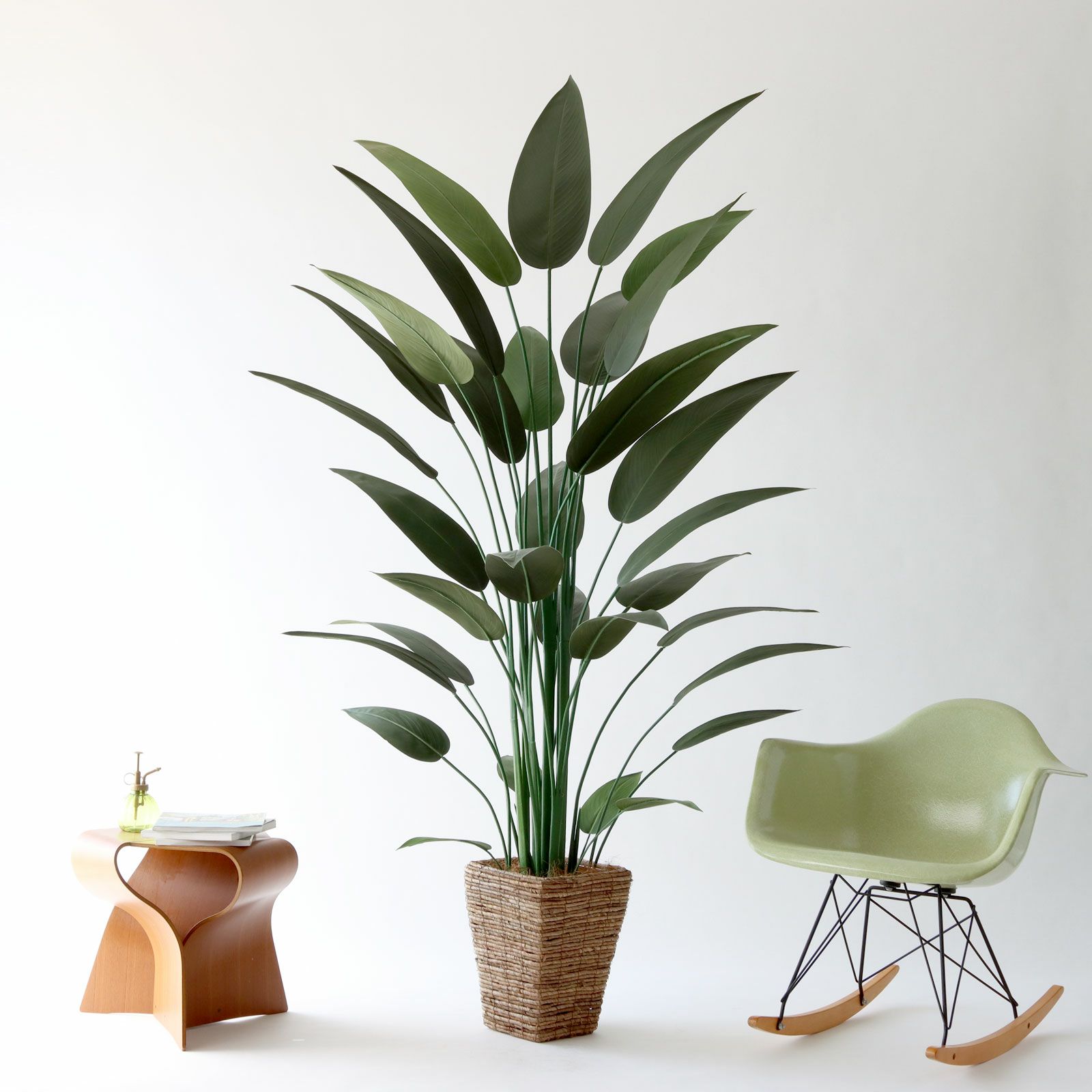 オーガスタ ストレリチア | プレミアム光触媒フェイクグリーン 造花