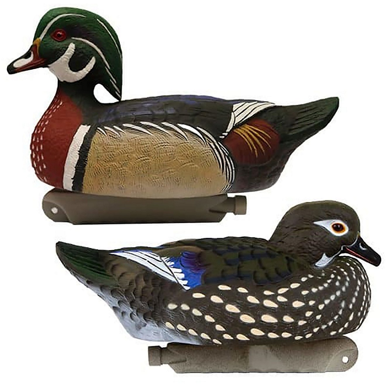 Cupped 3-D Wood Duck Decoys 6-Pack | Academy