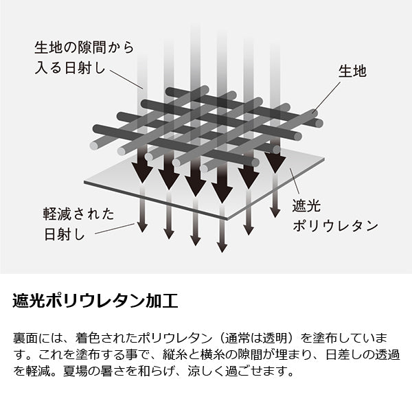 ゼインアーツ ゲウ TP-003 – aandfonlinestore