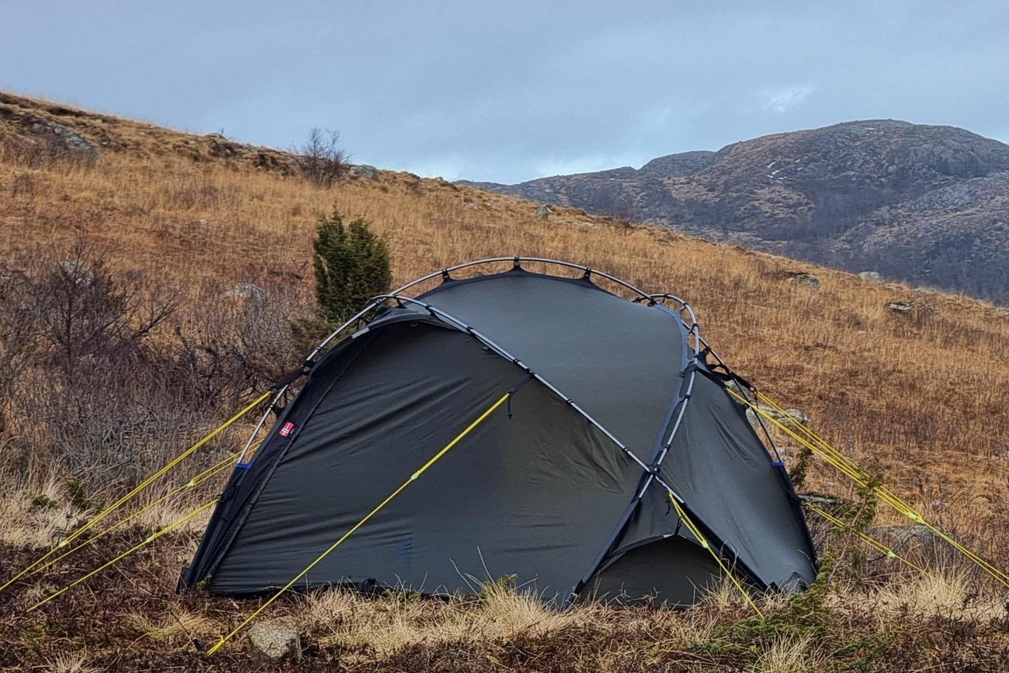 NORTENT Vern 1 (NEW) – Ablaze