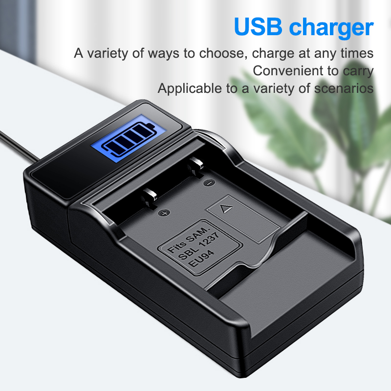 HQIX シグマ DP1 DP1s DP1x DP2 DP2s DP2x カメラ BP-31 充電器