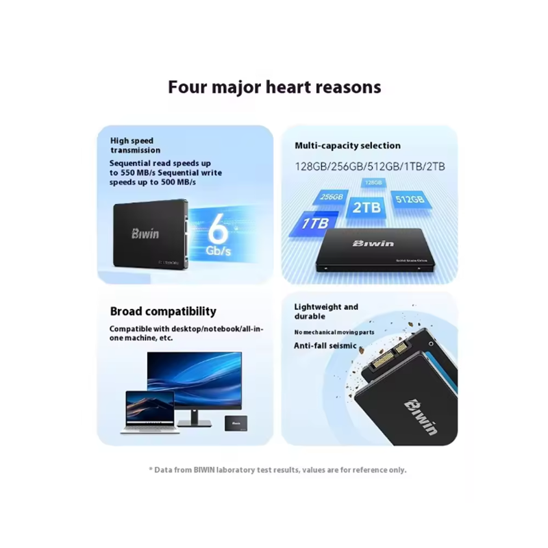 BIWIN M100 SSD 128GB 256GB 512GB 1TB 2TB SATAIII 2.5インチ
