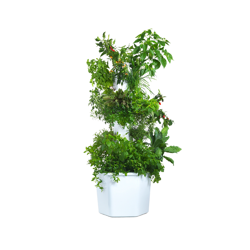 噴霧式縦型水耕栽培システム「エアロスプリング」Aerospring