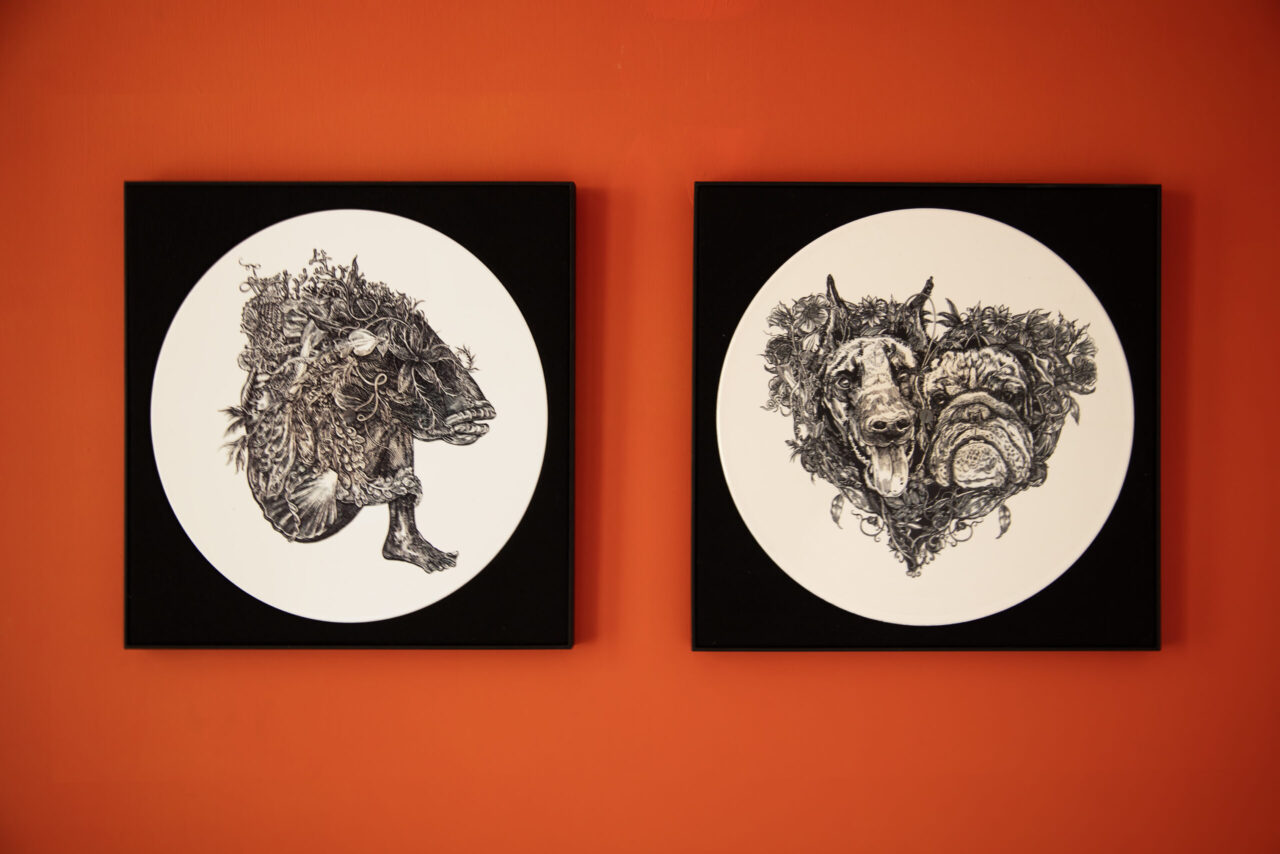 ケイト・ブッシュ『Hounds of Love』の特別ヴァージョン発売 - amass