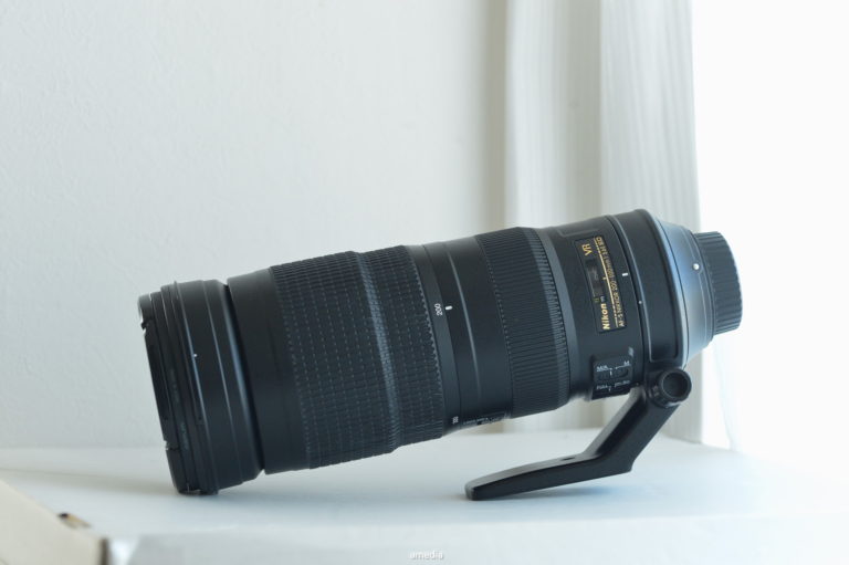 作例・レビュー】Nikon AF-S 200-500mm F5.6E ED VRで野鳥撮影について