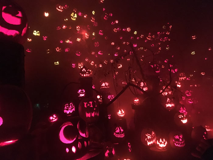 アメリカ現地レポート！ハロウィンの映えスポット・ジャックオランタン
