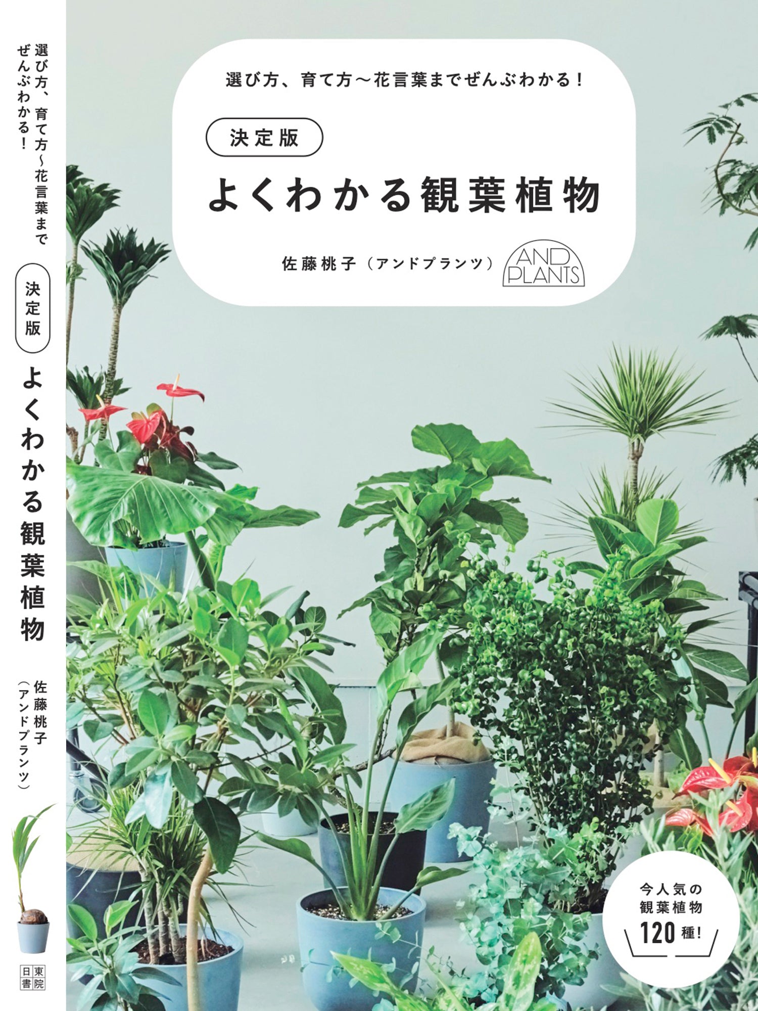 書籍「決定版 よくわかる観葉植物」 | 観葉植物・お花の通販 AND