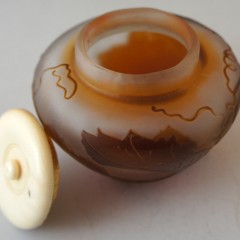 DSC03574-240x240.jpg