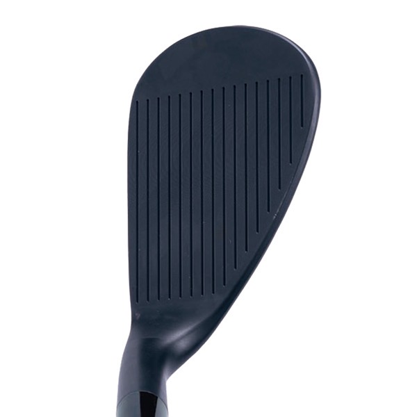 ドルフィンウェッジ DW-120G ブラック／DOLPHIN WEDGE DW-120G セミ