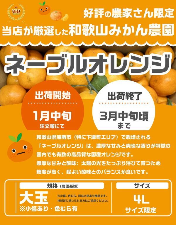 和歌山 ネーブル オレンジ 5kg 大玉 4Lサイズ限定 国産 農園・生産者