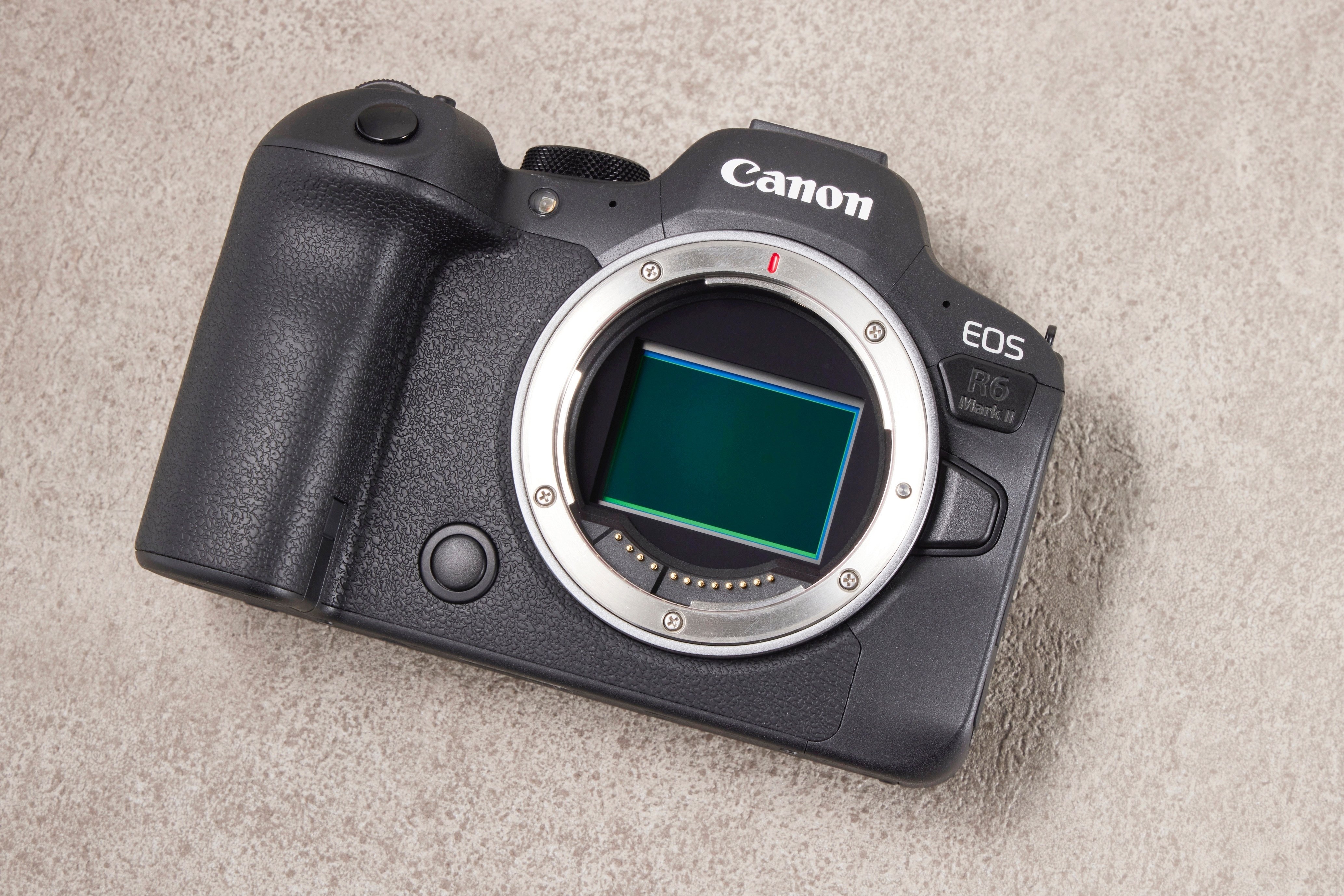 キヤノン EOS R6 MarkⅡ 実写レビュー： AF性能の進化を実感! 使い勝手