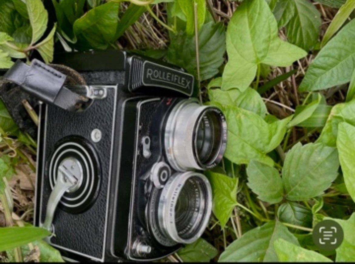 70年前の二眼レフカメラ・ローライフレックスで草花を接写する〜中判