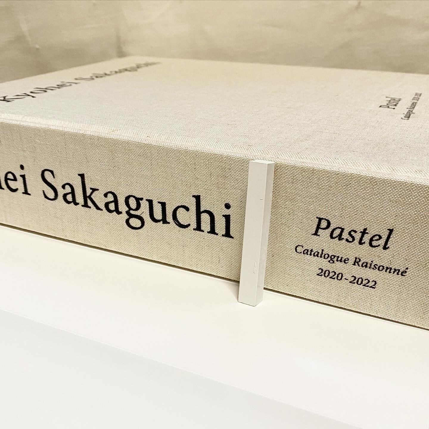 ☆318☆ うちで1番重たい本『坂口恭平 Pastel カタログレゾネ』｜から