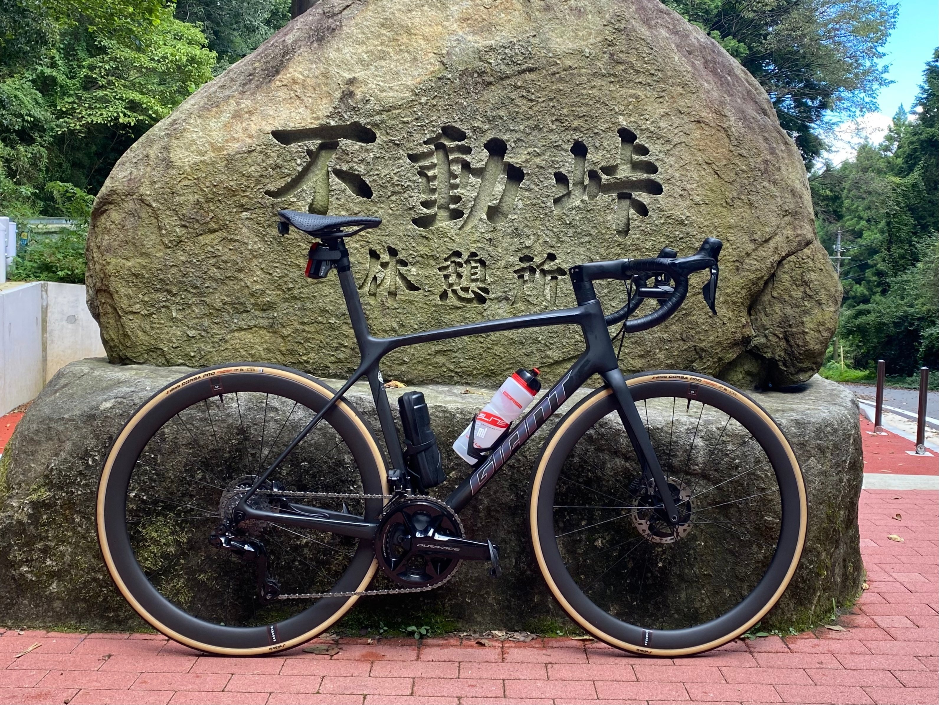 ALL NEW TCR 店頭在庫限定 先行予約特典』TCR ADVANCED SL 完成車限定