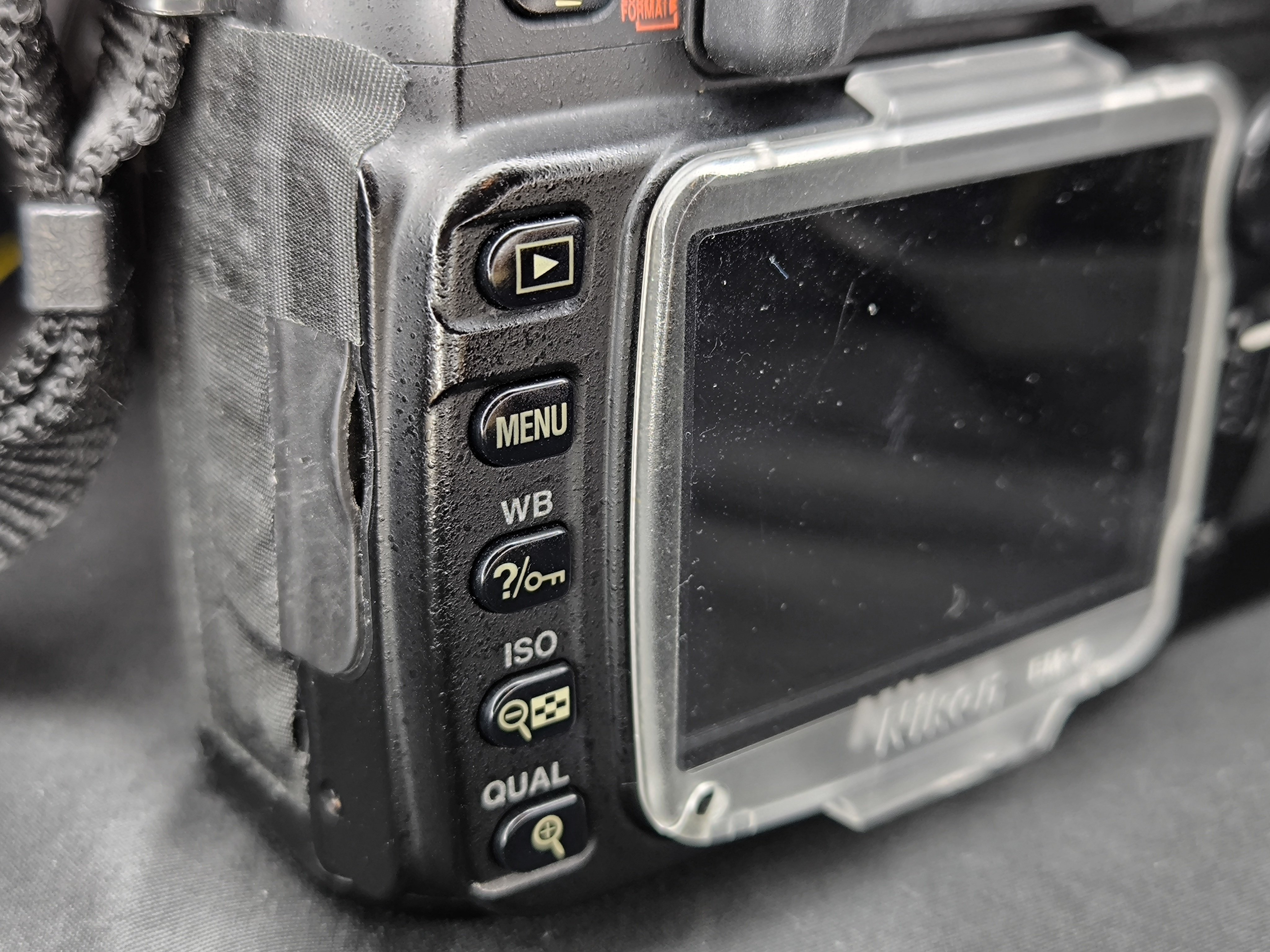 愛機D80は貴重なCCDセンサー搭載のじゃじゃ馬モデルなの｜Tarciel