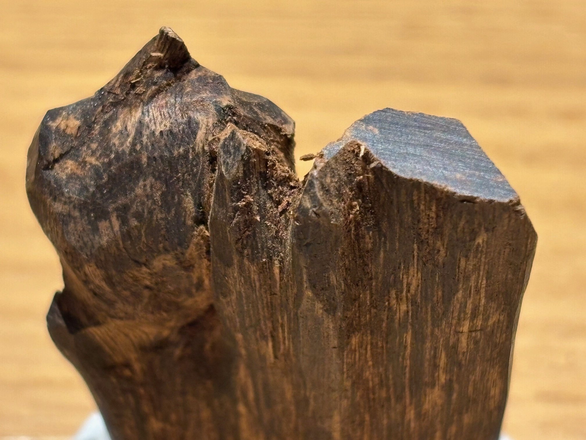 4月の推奨香木は、稀少な真那賀♪｜山田眞裕（麻布 香雅堂 主人）