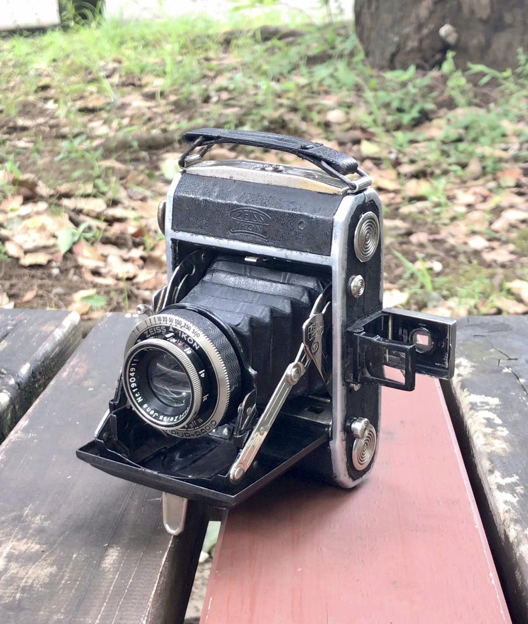 中判フィルムで撮る樹木, Ikonta 520｜光画日々想