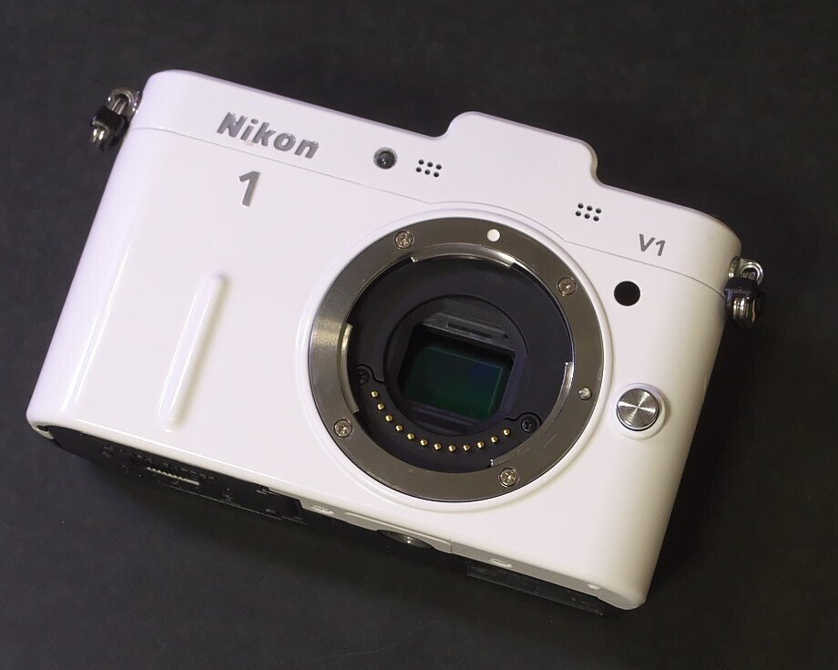 Nikon1のレンズ購入│1NIKKOR｜夏と放し飼い